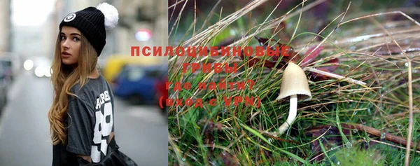 твердый Лабытнанги