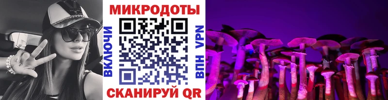 Купить где  Таганрог  Псилоцибиновые грибы Psilocybine cubensis 